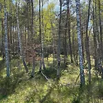 Morskie Oczko Apartman Żarnowska