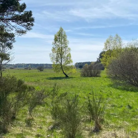 Morskie Oczko דירה