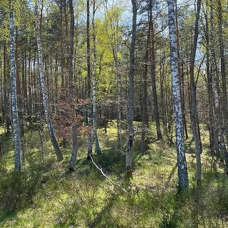 Morskie Oczko Apartament Zarnowska