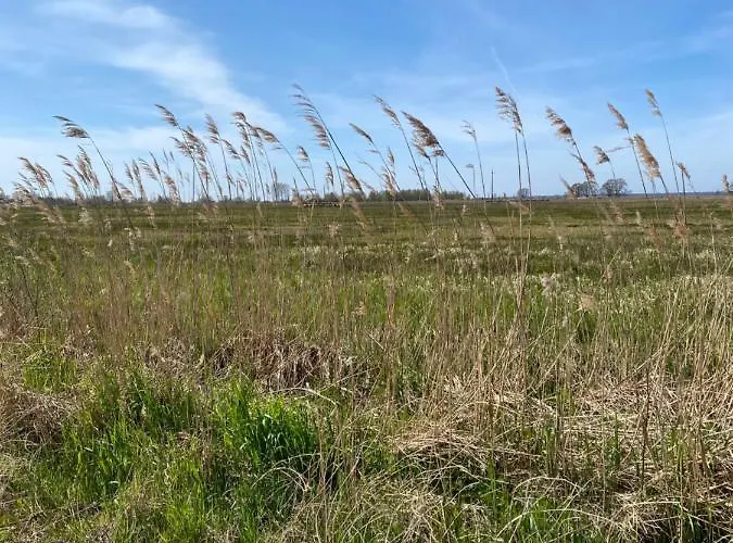 Апартаменты Morskie Oczko Zarnowska