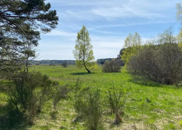 Morskie Oczko Апартаменты