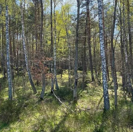 Morskie Oczko Апартаменты Zarnowska